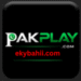 PAKPLAY Game