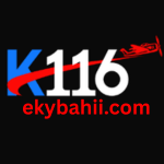 K116 Game